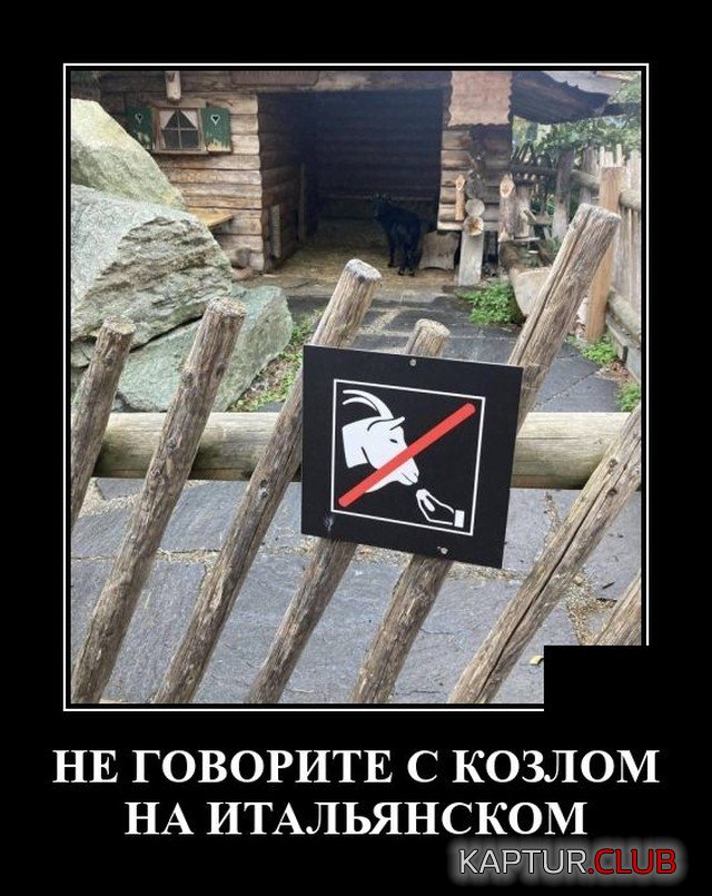 1634215497_demotivatory_19.jpg | Рено Каптур Клуб Россия | Форум KAPTUR.SU