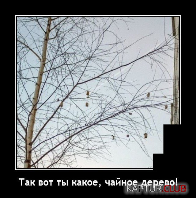 1634215535_demotivatory_06.jpg | Рено Каптур Клуб Россия | Форум KAPTUR.SU