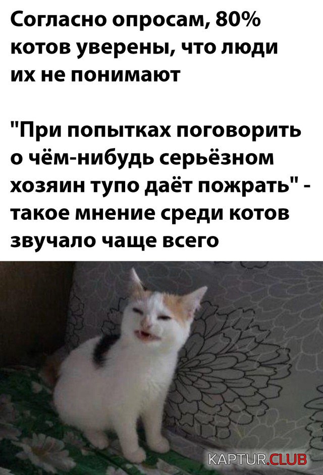 1634223039_podb_17.jpg | Рено Каптур Клуб Россия | Форум KAPTUR.SU