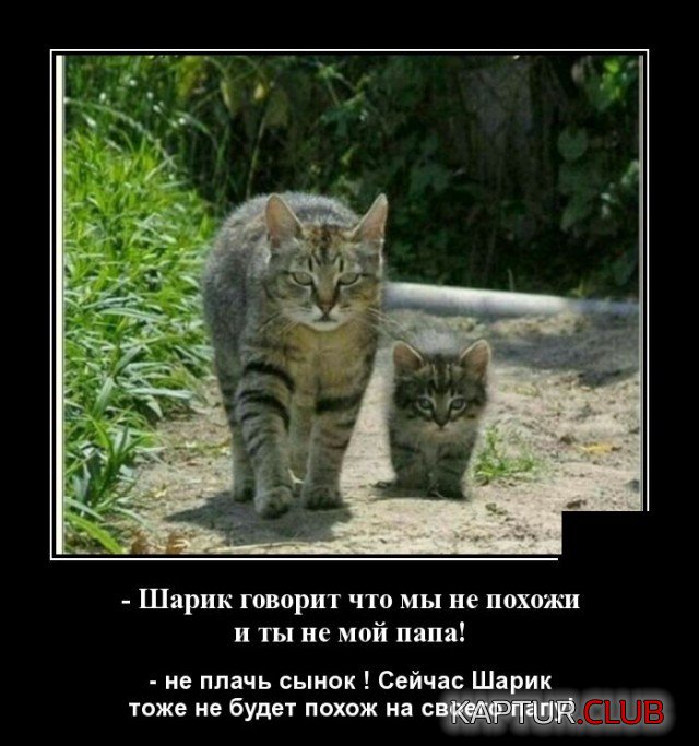 1634310117_demotivatory_07.jpg | Рено Каптур Клуб Россия | Форум KAPTUR.SU