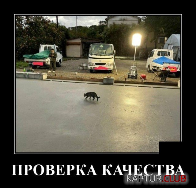 1634556093_demotivatory_17.jpg | Рено Каптур Клуб Россия | Форум KAPTUR.SU