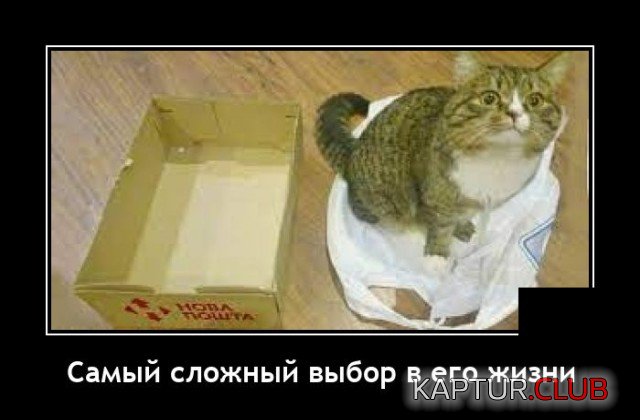 1634654460_demotivatory_06.jpg | Рено Каптур Клуб Россия | Форум KAPTUR.SU