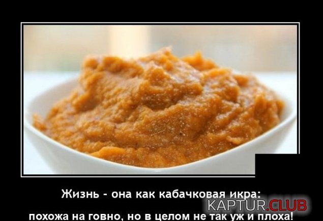 1634821399_demotivatory_02.jpg | Рено Каптур Клуб Россия | Форум KAPTUR.SU