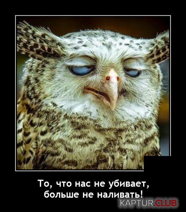 1635087007_1634654391_demotivatory_08.jpg | Рено Каптур Клуб Россия | Форум KAPTUR.SU