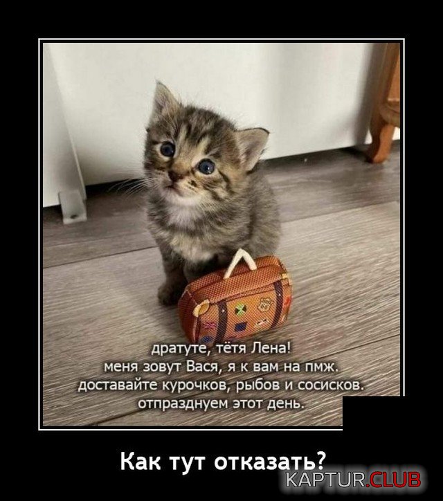 1635087036_1634654397_demotivatory_01.jpg | Рено Каптур Клуб Россия | Форум KAPTUR.SU