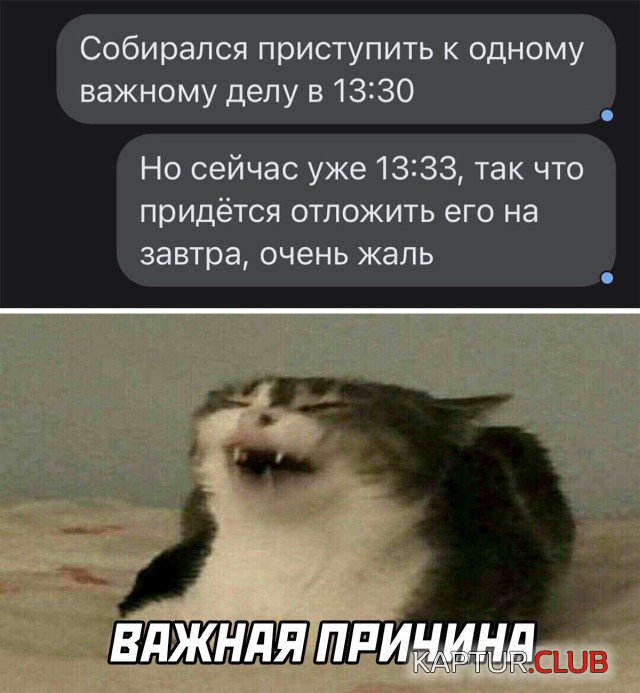 1635087099_1634741047_podb_vecher_02.jpg | Рено Каптур Клуб Россия | Форум KAPTUR.SU