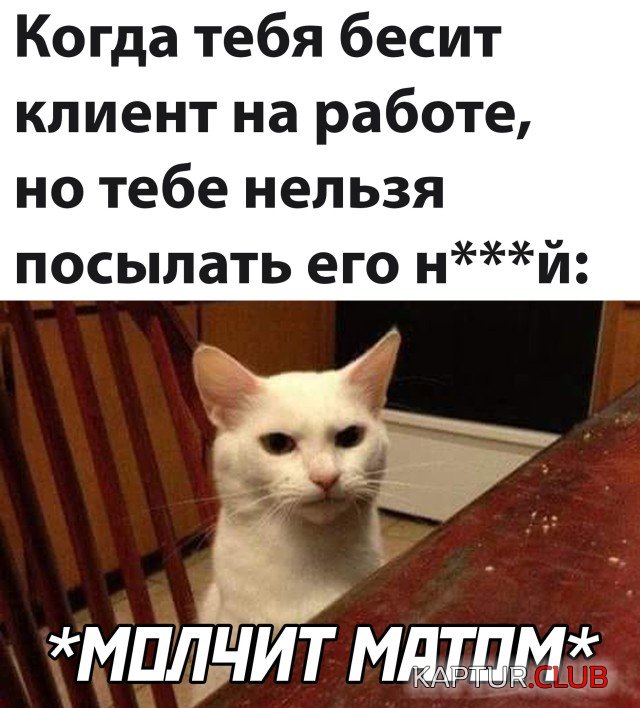 1635087103_1634741130_podb_vecher_04.jpg | Рено Каптур Клуб Россия | Форум KAPTUR.SU