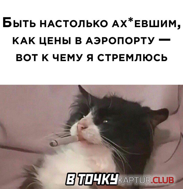 1635096863_1634658316_podb_19.jpg | Рено Каптур Клуб Россия | Форум KAPTUR.SU