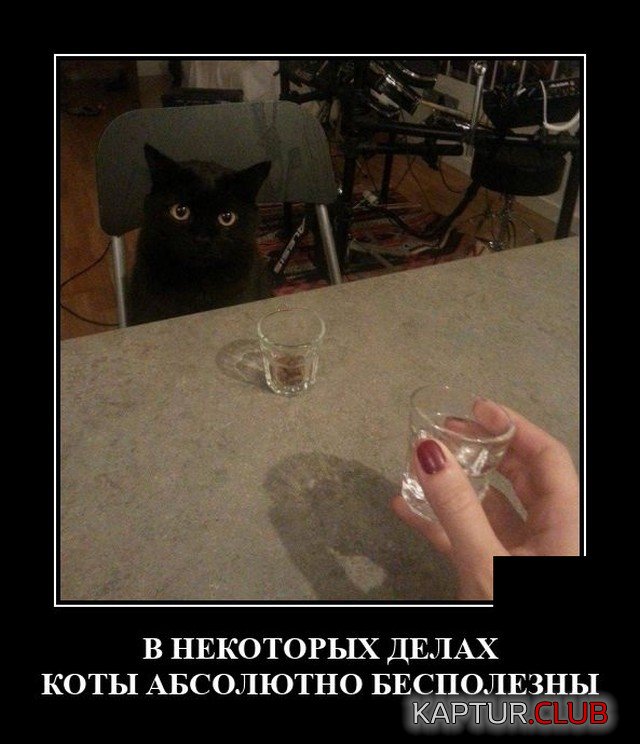 1635166977_demotivatory_15.jpg | Рено Каптур Клуб Россия | Форум KAPTUR.SU