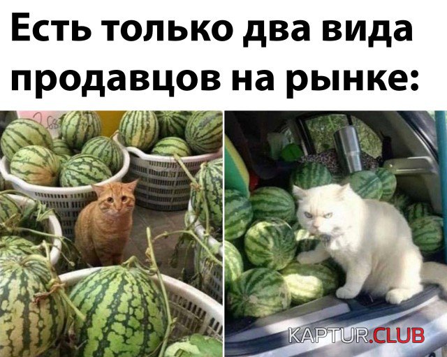 1635174330_podb_vecher_04.jpg | Рено Каптур Клуб Россия | Форум KAPTUR.SU