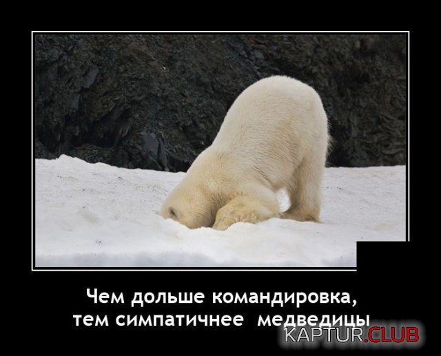 1635243957_demotivatory_05.jpg | Рено Каптур Клуб Россия | Форум KAPTUR.SU