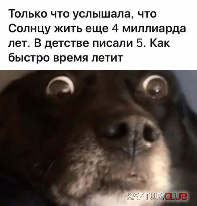 1635323232_1635248617_podb_29.jpg | Рено Каптур Клуб Россия | Форум KAPTUR.SU