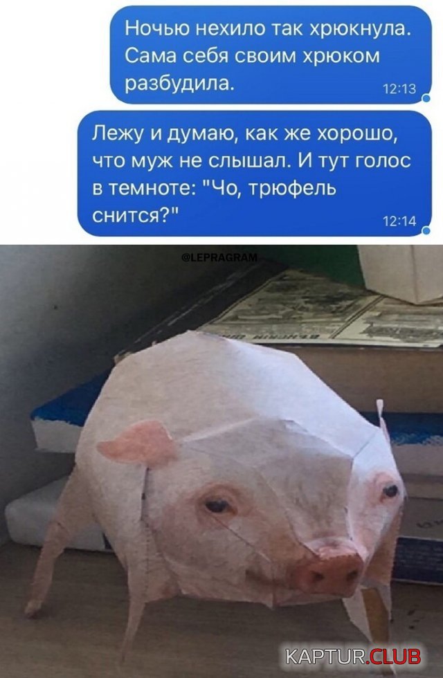 1635327821_219631_12_trinixy_ru.jpg | Рено Каптур Клуб Россия | Форум KAPTUR.SU