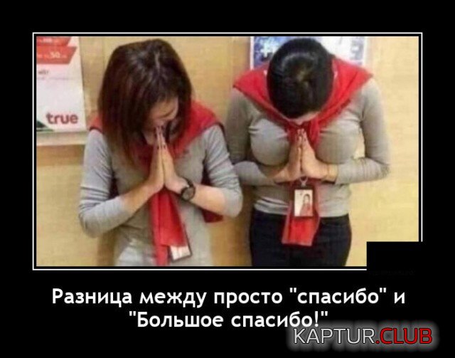 1635425444_demotivatory_02.jpg | Рено Каптур Клуб Россия | Форум KAPTUR.SU