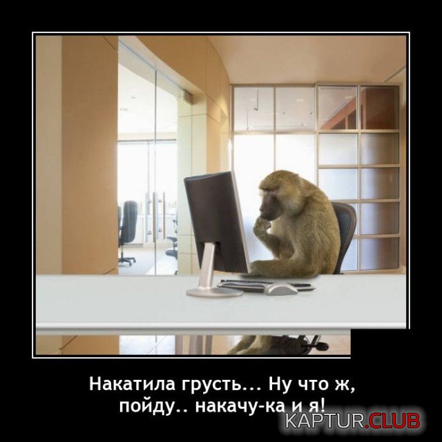 1635521592_demotivatory_10.jpg | Рено Каптур Клуб Россия | Форум KAPTUR.SU