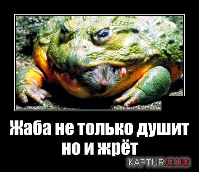 1635771836_demotivatory_06.jpg | Рено Каптур Клуб Россия | Форум KAPTUR.SU