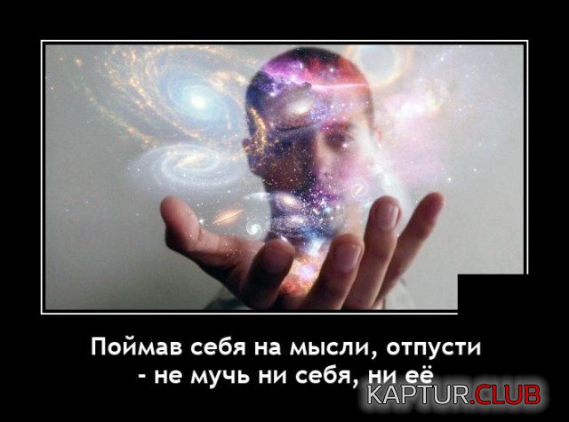1635771863_demotivatory_11.jpg | Рено Каптур Клуб Россия | Форум KAPTUR.SU