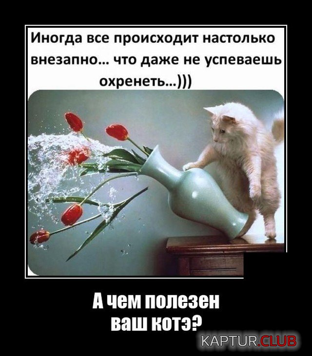 1635771905_demotivatory_07.jpg | Рено Каптур Клуб Россия | Форум KAPTUR.SU