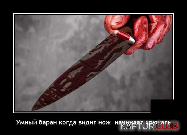 1635771931_demotivatory_05.jpg | Рено Каптур Клуб Россия | Форум KAPTUR.SU
