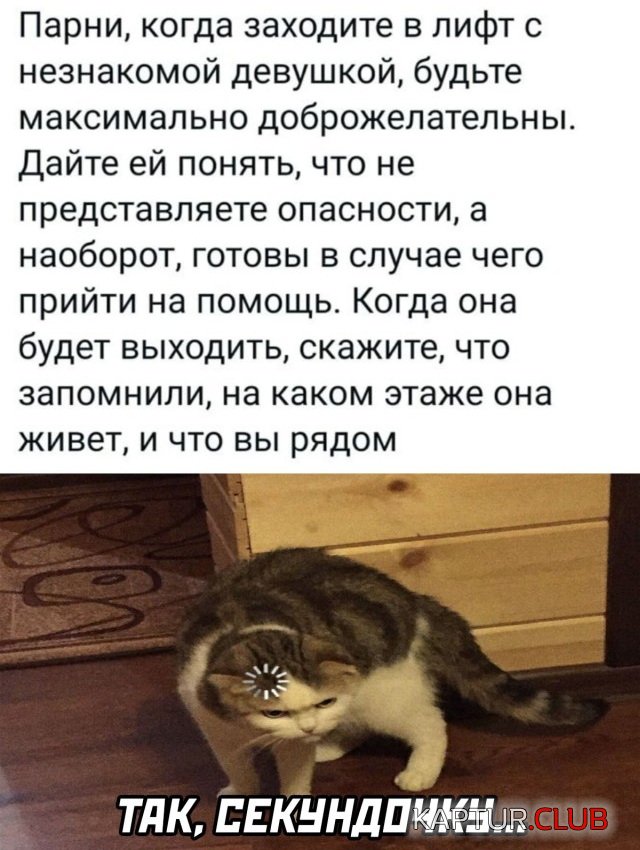 1635776277_podb_23.jpg | Рено Каптур Клуб Россия | Форум KAPTUR.SU