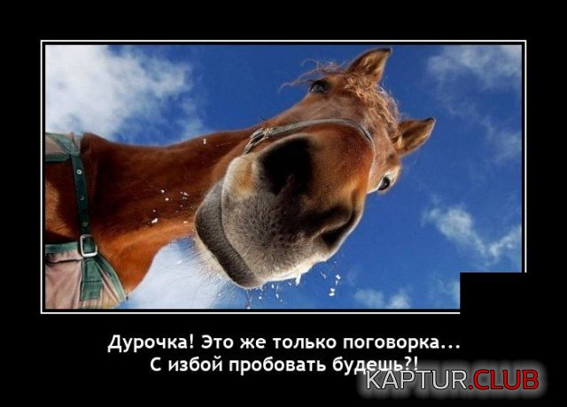 1635857080_demotivatory_14.jpg | Рено Каптур Клуб Россия | Форум KAPTUR.SU