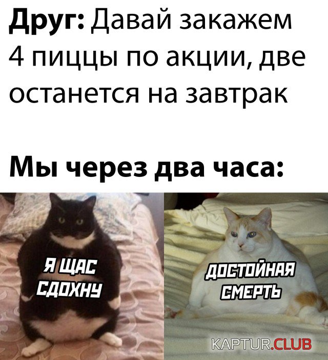 1635942854_podb_vecher_24.jpg | Рено Каптур Клуб Россия | Форум KAPTUR.SU