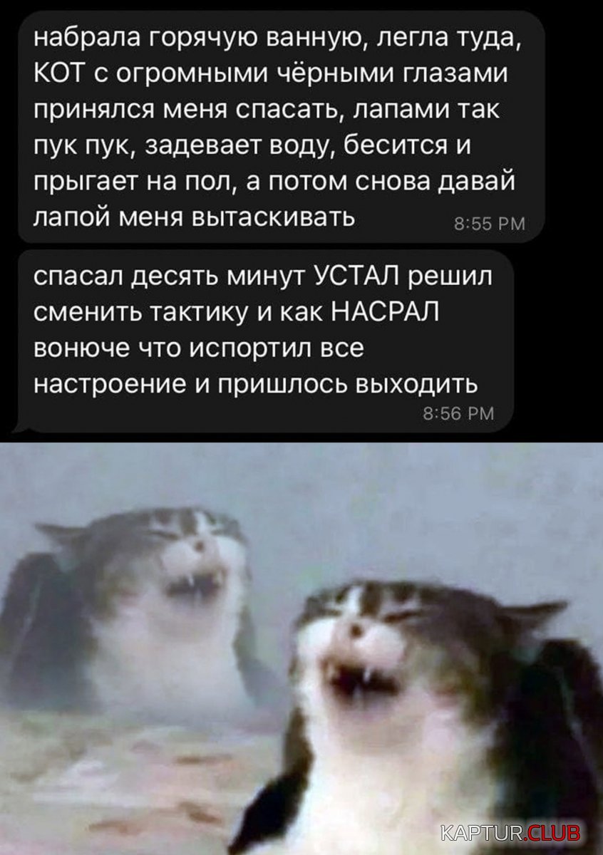 1636028193_podb_20.jpg | Рено Каптур Клуб Россия | Форум KAPTUR.SU