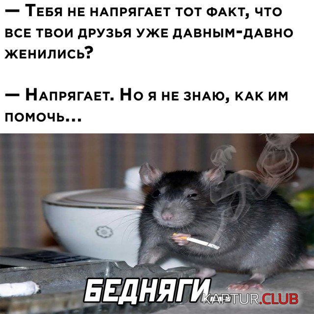 1636471075_podb_29.jpg | Рено Каптур Клуб Россия | Форум KAPTUR.SU