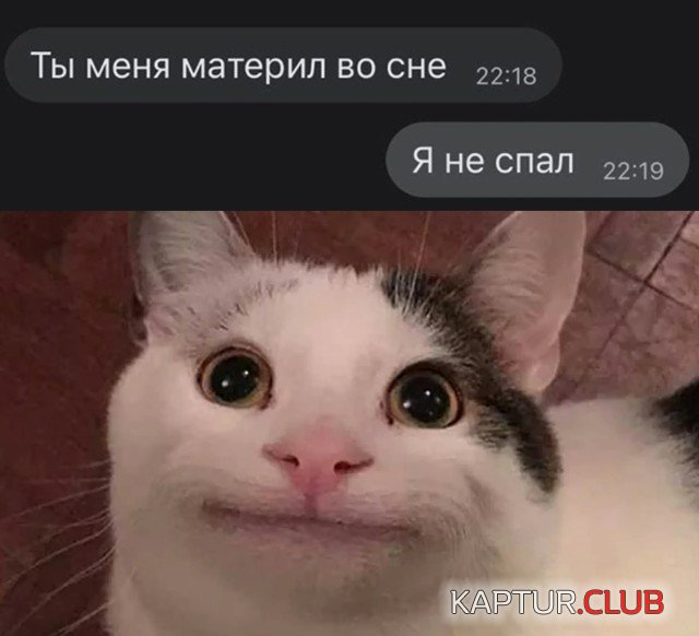 1636522229_1635864733_podb_27.jpg | Рено Каптур Клуб Россия | Форум KAPTUR.SU