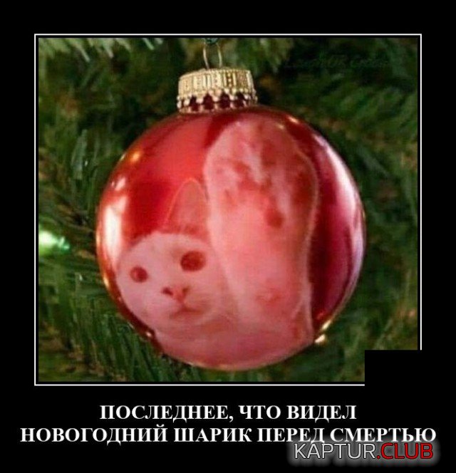 1636551541_demotivatory_19.jpg | Рено Каптур Клуб Россия | Форум KAPTUR.SU