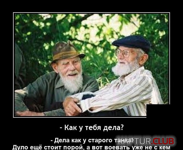 1636639169_demotivatory_13.jpg | Рено Каптур Клуб Россия | Форум KAPTUR.SU