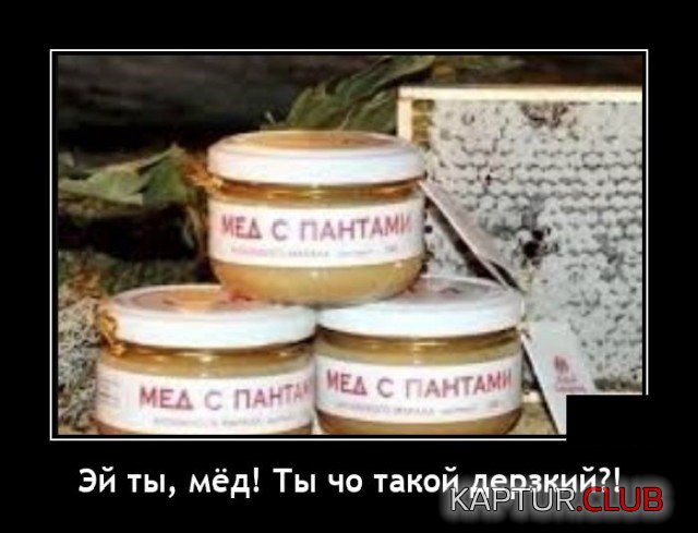 1636639244_demotivatory_04.jpg | Рено Каптур Клуб Россия | Форум KAPTUR.SU
