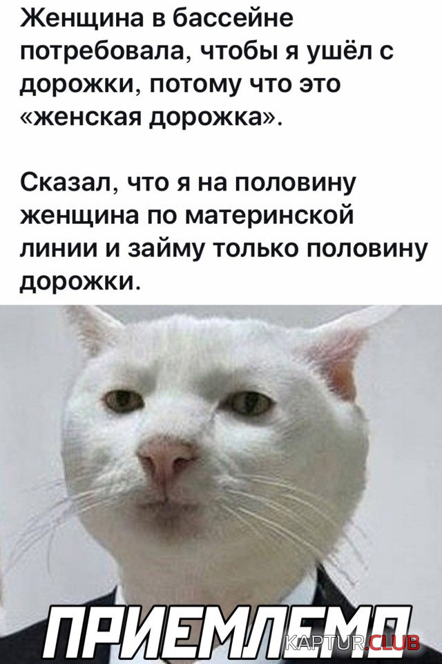 1636988802_podb_03.jpg | Рено Каптур Клуб Россия | Форум KAPTUR.SU