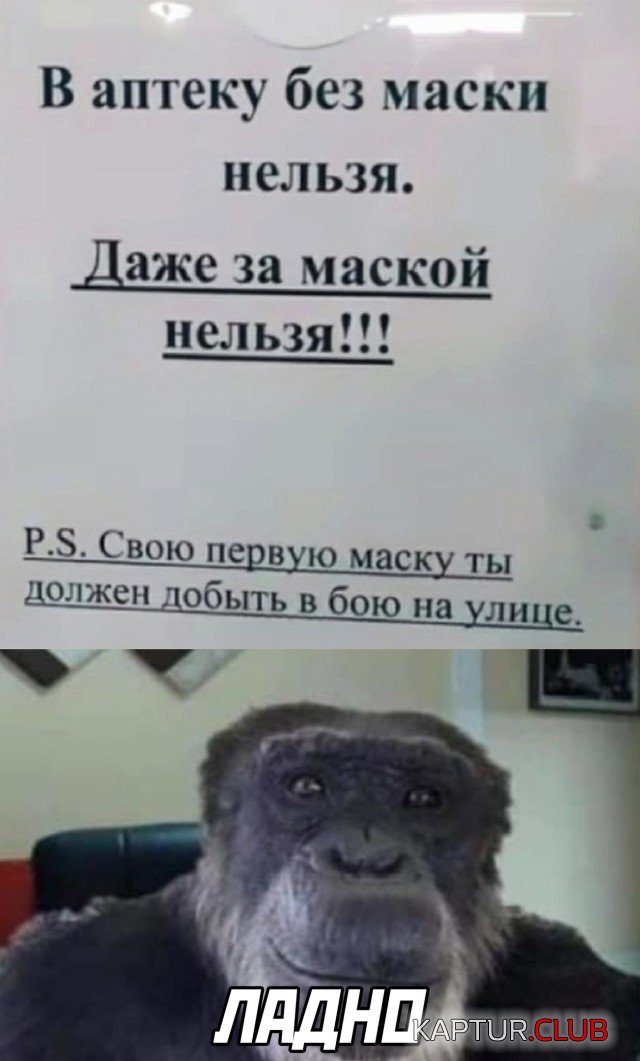 1636988843_podb_02.jpg | Рено Каптур Клуб Россия | Форум KAPTUR.SU