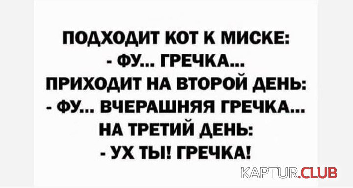 1637159378_photo_2021-11-17_17-23-55.jpg | Рено Каптур Клуб Россия | Форум KAPTUR.SU
