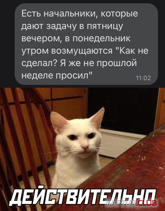 1637243807_podb_15.jpg | Рено Каптур Клуб Россия | Форум KAPTUR.SU