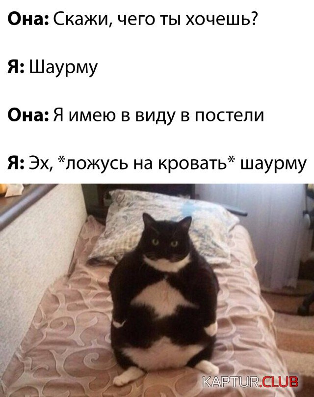 1637586582_podb_23.jpg | Рено Каптур Клуб Россия | Форум KAPTUR.SU