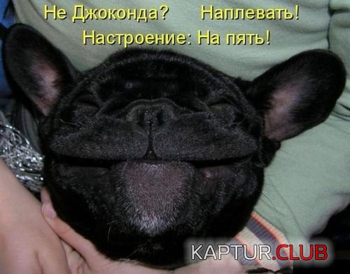 16376256b33697894ea3bf83299.jpg | Рено Каптур Клуб Россия | Форум KAPTUR.SU