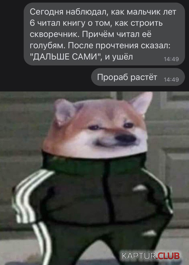 1637677679_podb_02.jpg | Рено Каптур Клуб Россия | Форум KAPTUR.SU