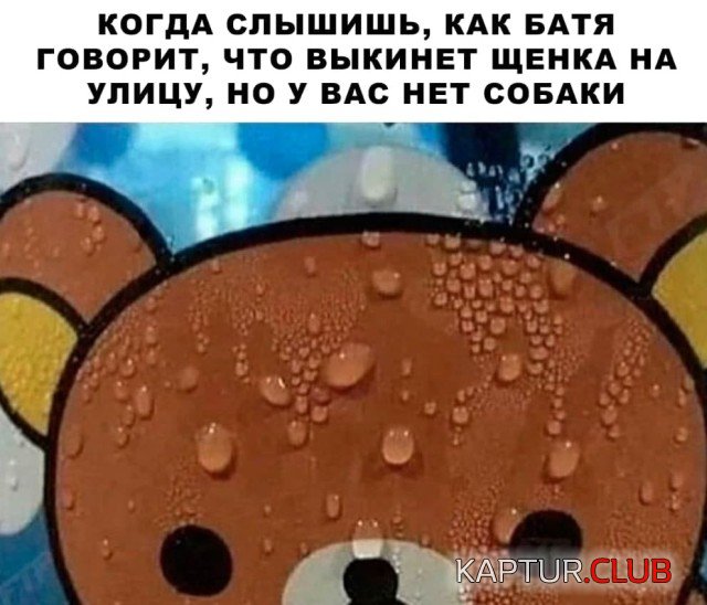 1637756167_1637677728_podb_04.jpg | Рено Каптур Клуб Россия | Форум KAPTUR.SU