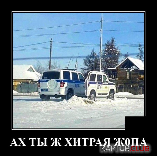 1637758934_demotivatory_19.jpg | Рено Каптур Клуб Россия | Форум KAPTUR.SU