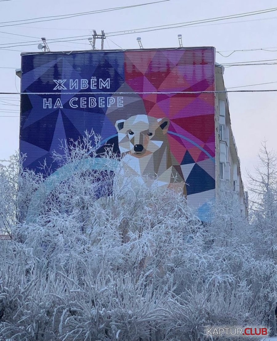 1637761160709.jpg | Рено Каптур Клуб Россия | Форум KAPTUR.SU