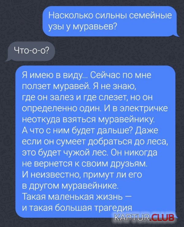 1638450782_221169_4_trinixy_ru.jpg | Рено Каптур Клуб Россия | Форум KAPTUR.SU