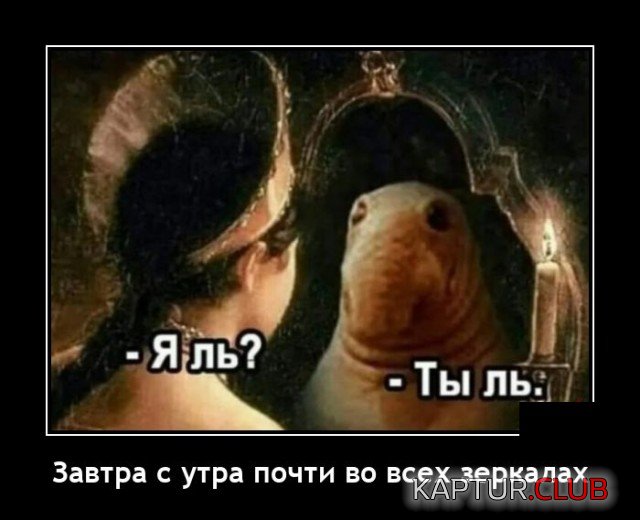 1638453170_1638188728_demotivatory_14.jpg | Рено Каптур Клуб Россия | Форум KAPTUR.SU