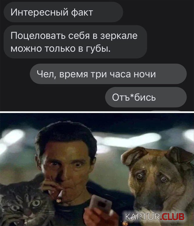 1638890308_podb_18.jpg | Рено Каптур Клуб Россия | Форум KAPTUR.SU