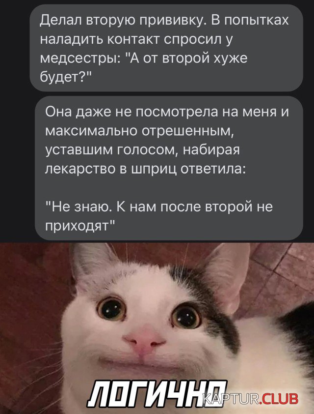 1638976455_podb_28.jpg | Рено Каптур Клуб Россия | Форум KAPTUR.SU