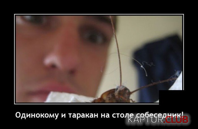 1639057268_demotivatory_15.jpg | Рено Каптур Клуб Россия | Форум KAPTUR.SU