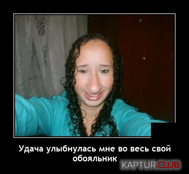 1639057332_demotivatory_05.jpg | Рено Каптур Клуб Россия | Форум KAPTUR.SU