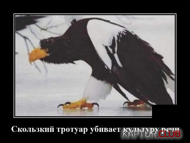 1639058098_1638798335_demotivatory_01.jpg | Рено Каптур Клуб Россия | Форум KAPTUR.SU