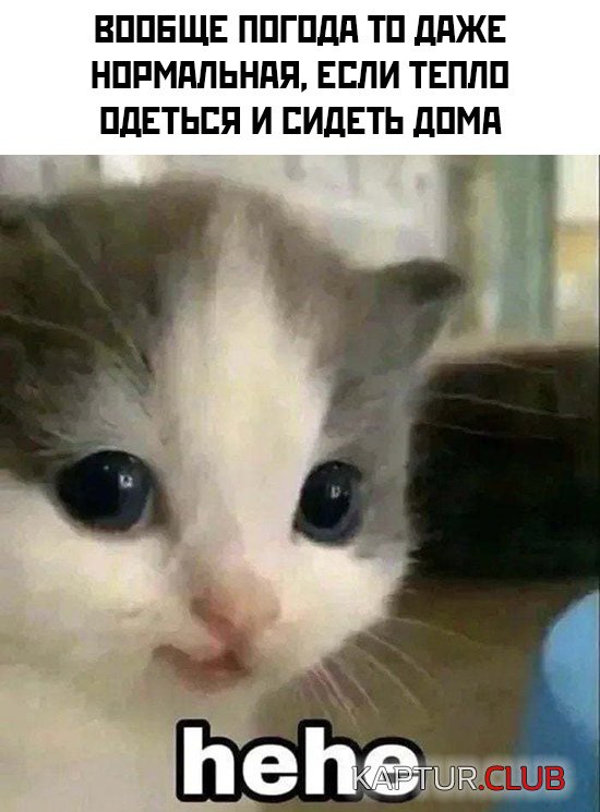 1639491816_podb_25.jpg | Рено Каптур Клуб Россия | Форум KAPTUR.SU